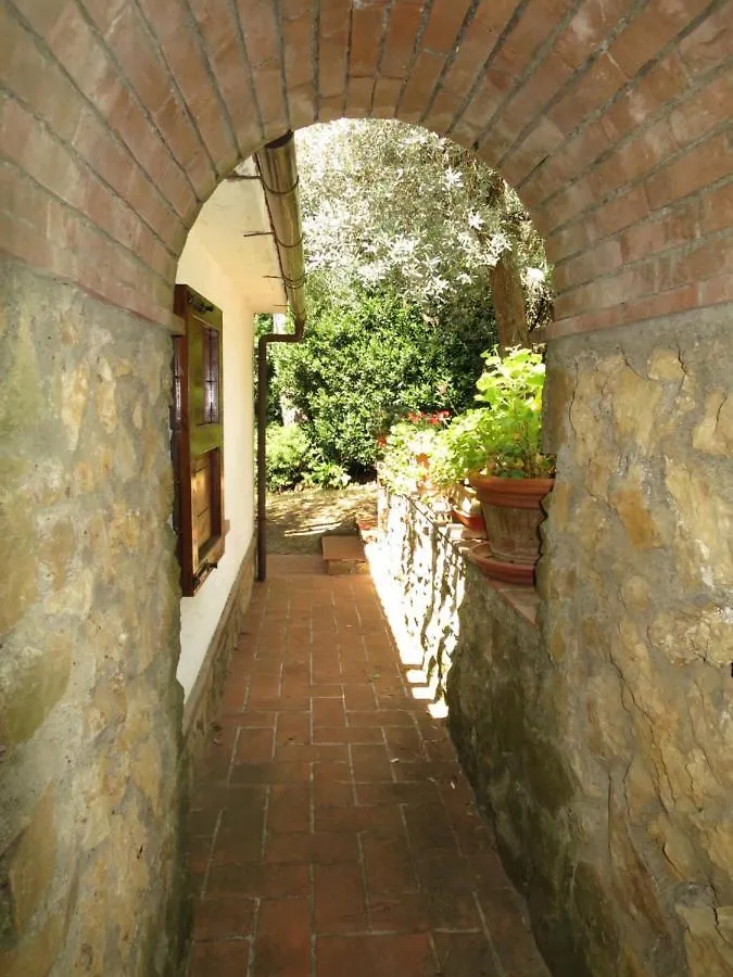 Villa Locazione Turistica Ulivo Montescudaio Casa vacanze