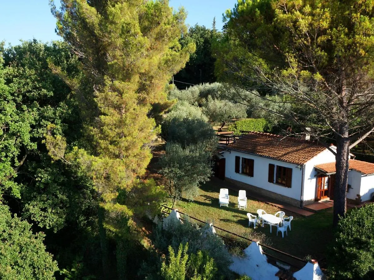Villa Locazione Turistica Ulivo Montescudaio Casa vacanze