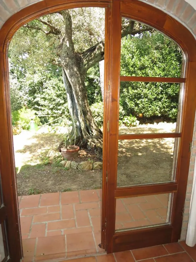 Casa vacanze Villa Locazione Turistica Ulivo Montescudaio Italia